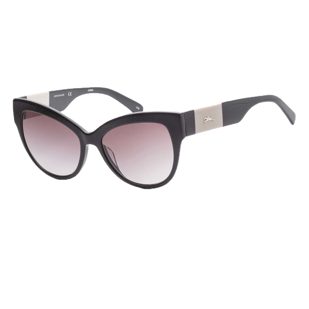 lo649s-001-longchamp