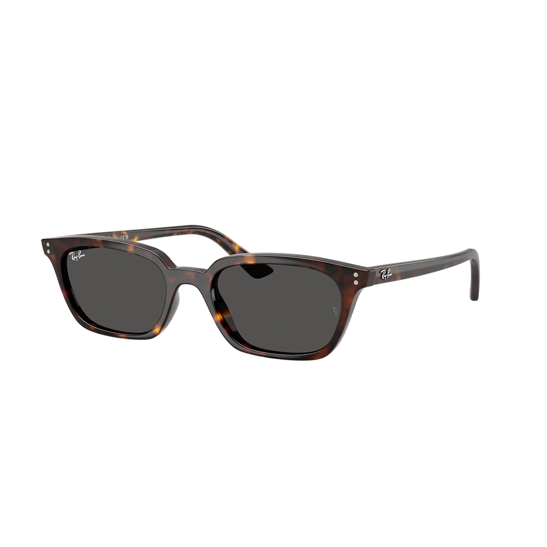 4456-135987-ray-ban